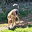 Thumbnail photo of Wyatt #3