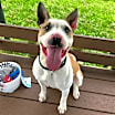 Thumbnail photo of Stitch #1
