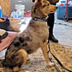 Thumbnail photo of Wyatt #2