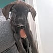 Thumbnail photo of Sky #2