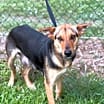 Thumbnail photo of Stella #1