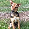 Thumbnail photo of Stella #3