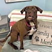 Thumbnail photo of Kenna #1