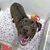 Thumbnail photo of Kenna #2