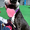 Thumbnail photo of Larry #3