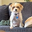 Thumbnail photo of Sugar #4