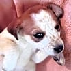 Thumbnail photo of Freckles #2