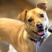Thumbnail photo of Lulu #1