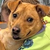 Thumbnail photo of Lulu #3