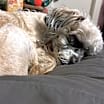 Thumbnail photo of Madge #3