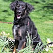 Thumbnail photo of Asher Sampson #1