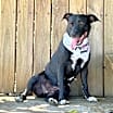 Thumbnail photo of Lola #2
