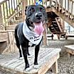 Thumbnail photo of Lola #4