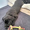 Thumbnail photo of Nosey #4