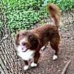 Thumbnail photo of Monito #3
