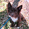 Thumbnail photo of Monito #4