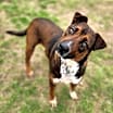 Thumbnail photo of ECHO #2