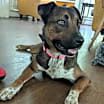Thumbnail photo of ECHO #3