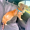 Thumbnail photo of Charlie #4