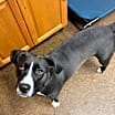 Thumbnail photo of Maggie Mae #2