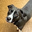 Thumbnail photo of Maggie Mae #3