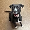 Thumbnail photo of Maggie Mae #4