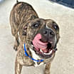 Thumbnail photo of Ruthie #1