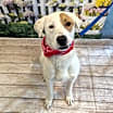 Thumbnail photo of Charlie #1