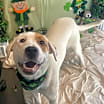 Thumbnail photo of Charlie #3