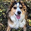 Thumbnail photo of Oakley #1