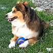 Thumbnail photo of Oakley #2