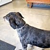 Thumbnail photo of Cal #3