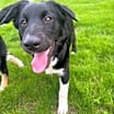 Thumbnail photo of Daisy (Rosie, Daisy and Sprout) #2