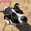 Thumbnail photo of Sonya Uriah Philly #2