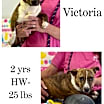 Thumbnail photo of Victoria #1