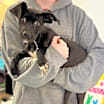 Thumbnail photo of Dexter #3