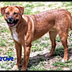 Thumbnail photo of Archie #1