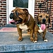 Thumbnail photo of Jax #3