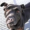 Thumbnail photo of Trudy #2