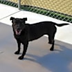 Thumbnail photo of Trudy #3