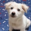 Thumbnail photo of Palmer #3