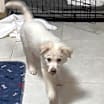 Thumbnail photo of Palmer #4