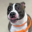 Thumbnail photo of Lilly #4