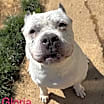 Thumbnail photo of Gloria Storm Philly #2