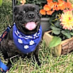 Thumbnail photo of Edna #1