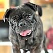 Thumbnail photo of Edna #2