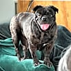 Thumbnail photo of Edna #3