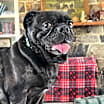 Thumbnail photo of Edna #4