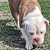 Thumbnail photo of Mildred #1