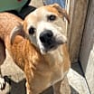 Thumbnail photo of Roscoe #2